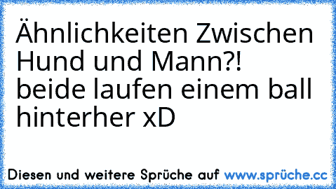 Ähnlichkeiten Zwischen Hund und Mann?! 
beide laufen einem ball hinterher xD