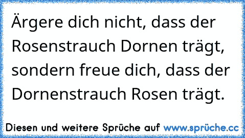 Ärgere dich nicht, dass der Rosenstrauch Dornen trägt, sondern freue dich, dass der Dornenstrauch Rosen trägt.