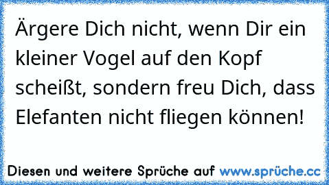 Ärgere Dich nicht, wenn Dir ein kleiner Vogel auf den Kopf scheißt, sondern freu Dich, dass Elefanten nicht fliegen können!