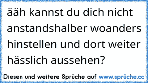 ääh kannst du dich nicht anstandshalber woanders hinstellen und dort weiter hässlich aussehen?