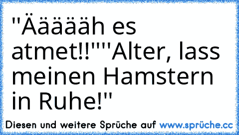 ''Äääääh es atmet!!''
''Alter, lass meinen Hamstern in Ruhe!''