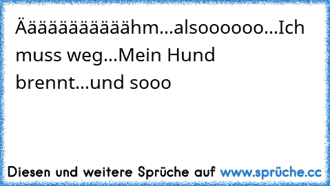 Ääääääääääähm...alsoooooo...
Ich muss weg...
Mein Hund brennt...und sooo