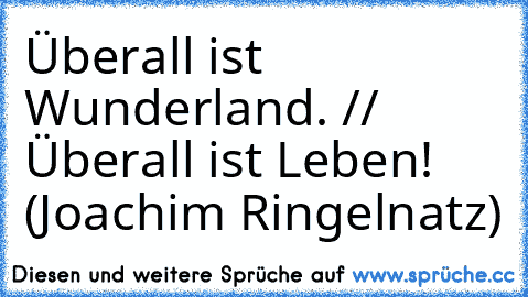 Überall ist Wunderland. // Überall ist Leben! (Joachim Ringelnatz)