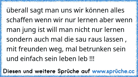 überall sagt man uns wir können alles schaffen wenn wir nur lernen aber wenn man jung ist will man nicht nur lernen sondern auch mal die sau raus lassen , mit freunden weg, mal betrunken sein und einfach sein leben leb !!!