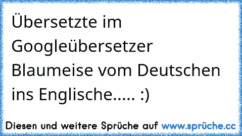 Übersetzte im Googleübersetzer Blaumeise vom Deutschen ins Englische..... :)