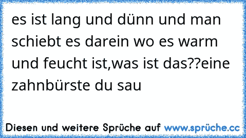 ღes ist lang und dünn und man schiebt es darein wo es warm und feucht ist,was ist das??eine zahnbürste du sau  ღ  ☺