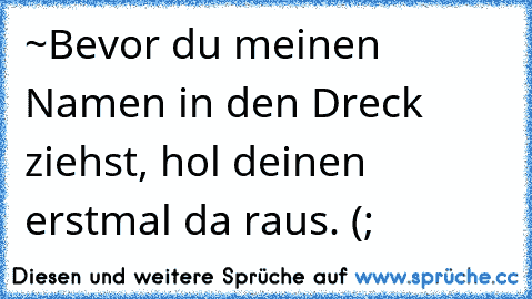 ‎~Bevor du meinen Namen in den Dreck ziehst, hol deinen erstmal da raus. (;