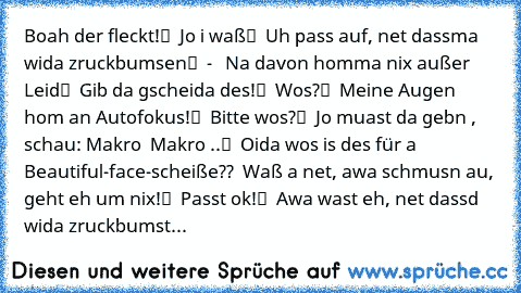 „Boah der fleckt!“ – „Jo i waß“ – „Uh pass auf, net dassma wida zruckbumsen“  -  „ Na davon homma nix außer Leid“ – „Gib da gscheida des!“ – „Wos?“ – „Meine Augen hom an Autofokus!“ – „Bitte wos?“ – „Jo muast da gebn , schau: Makro … Makro ..“ – „Oida wos is des für a Beautiful-face-scheiße??‘ – „Waß a net, awa schmusn au, geht eh um nix!“ – „Passt ok!“ – „Awa wast eh, net dassd wida zruckbumst...