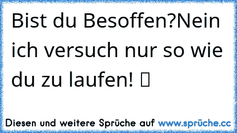 ☆Bist du Besoffen?Nein ich versuch nur so wie du zu laufen! ツ