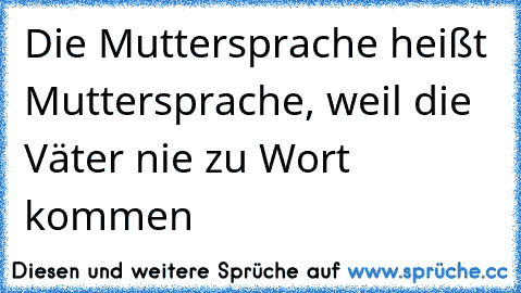 ☆Die Muttersprache heißt Muttersprache, weil die Väter nie zu Wort kommen☆