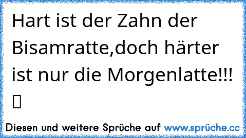 ☆Hart ist der Zahn der Bisamratte,doch härter ist nur die Morgenlatte!!! ツ ☆