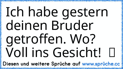 ☆Ich habe gestern deinen Bruder getroffen. Wo? Voll ins Gesicht! ☆ ツ