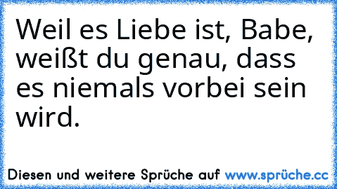 ☆Weil es Liebe ist, Babe, weißt du genau, dass es niemals vorbei sein wird.☆