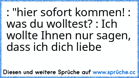 ♂: "hier sofort kommen! ♀: was du wolltest? ♂: Ich wollte Ihnen nur sagen, dass ich dich liebe ♥