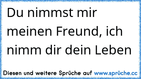 ♥ Du nimmst mir meinen Freund, ich nimm dir dein Leben ♥