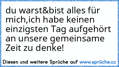 ♥ du warst&bist alles für mich,ich habe keinen einzigsten Tag aufgehört an unsere gemeinsame Zeit zu denke!