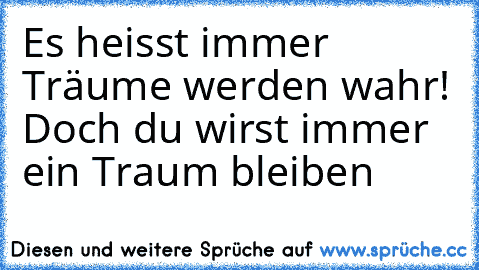 ♥ Es heisst immer Träume werden wahr! ♥
Doch du wirst immer ein Traum bleiben