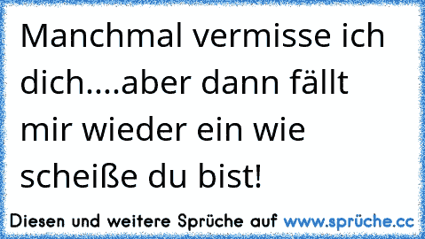 ♥ Manchmal vermisse ich dich....aber dann fällt mir wieder ein wie scheiße du bist!  ♥ ☆ ☆ ☆ ☆