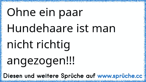 ♥ Ohne ein paar Hundehaare ist man nicht richtig angezogen!!! ♥