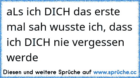 ♥aLs ich DICH das erste mal sah wusste ich, dass ich DICH nie vergessen werde♥