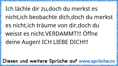 ♥Ich lächle dir zu,doch du merkst es nicht,ich beobachte dich,doch du merkst es nicht,ich träume von dir,doch du weisst es nicht.VERDAMMT!!! Öffne deine Augen! ICH LIEBE DICH!!!  ♥