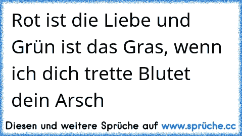 ♥Rot ist die Liebe und Grün ist das Gras, wenn ich dich trette Blutet dein Arsch♥