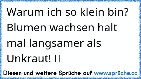 ♥Warum ich so klein bin? Blumen wachsen halt mal langsamer als Unkraut! ツ