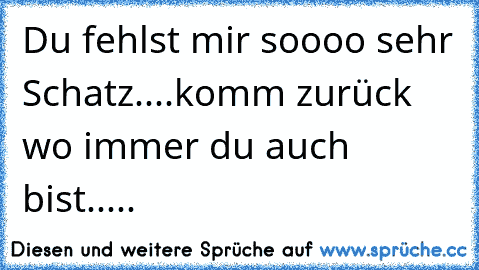 ♥♥♥♥♥Du fehlst mir soooo sehr Schatz....komm zurück wo immer du auch bist.....♥♥♥♥♥